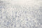 Kate Hiver Neige Sol Toile de fond conçue par Emetselch - Kate Backdrop FR