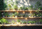Kate Verdure Étagères à plantes Soleil Toile de fond conçue par Mini MakeBelieve - Kate Backdrop FR