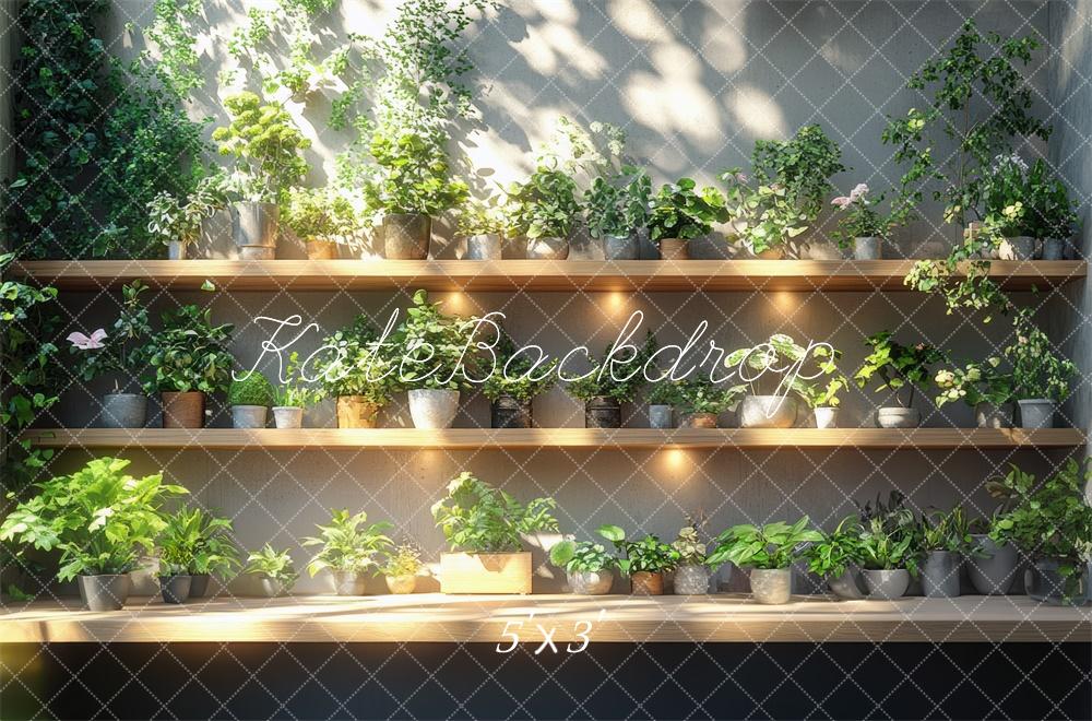 Kate Verdure Étagères à plantes Soleil Toile de fond conçue par Mini MakeBelieve - Kate Backdrop FR