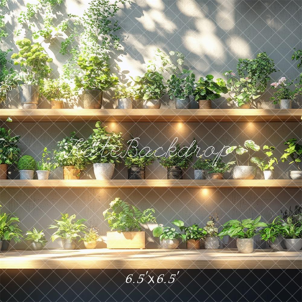 Kate Verdure Étagères à plantes Soleil Toile de fond conçue par Mini MakeBelieve - Kate Backdrop FR