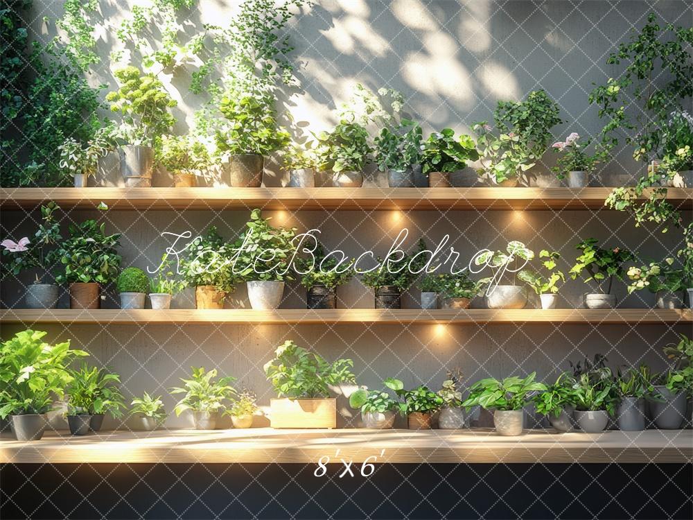 Kate Verdure Étagères à plantes Soleil Toile de fond conçue par Mini MakeBelieve - Kate Backdrop FR