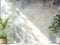 Kate Intérieur Verdure Mur Abstrait Toile de fond conçue par Mini MakeBelieve - Kate Backdrop FR