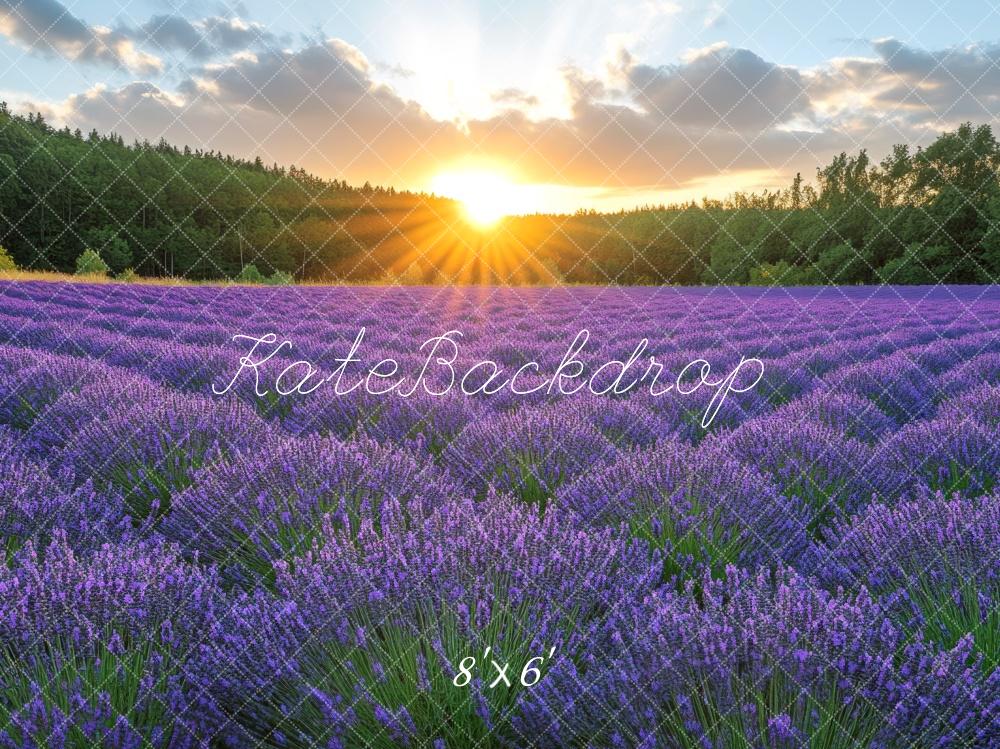 Kate Champ de Lavande Lever de soleil Toile de fond conçue par Mini MakeBelieve - Kate Backdrop FR