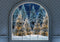 Kate Noël Nuit Neige Fenêtre voûtée Toile de fond conçue par Mini MakeBelieve - Kate Backdrop FR