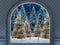 Kate Noël Nuit Neige Fenêtre voûtée Toile de fond conçue par Mini MakeBelieve - Kate Backdrop FR
