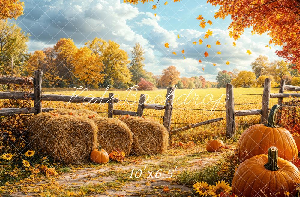 Kate Automne Récolte Citrouille Champ Toile de fond conçue par Emetselch - Kate Backdrop FR