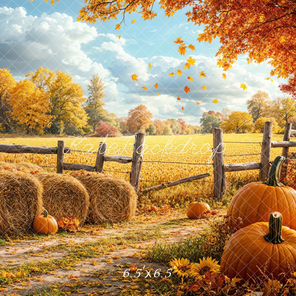 Kate Automne Récolte Citrouille Champ Toile de fond conçue par Emetselch - Kate Backdrop FR