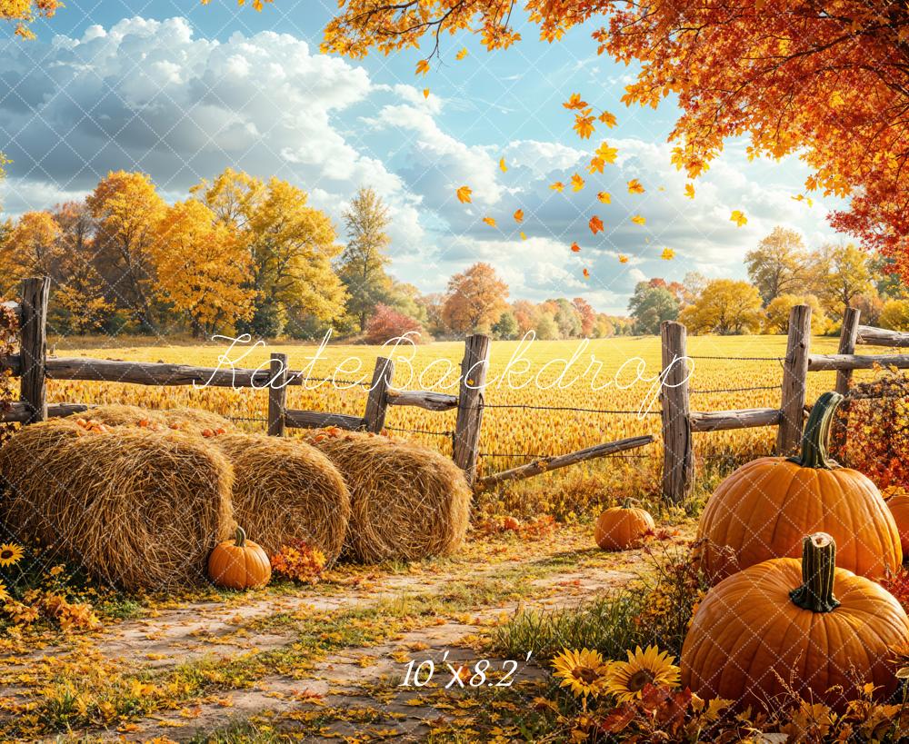 Kate Automne Récolte Citrouille Champ Toile de fond conçue par Emetselch - Kate Backdrop FR