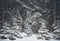 Kate Neige Forêt de pins Hiver Toile de fond conçue par Emetselch - Kate Backdrop FR