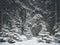 Kate Neige Forêt de pins Hiver Toile de fond conçue par Emetselch - Kate Backdrop FR