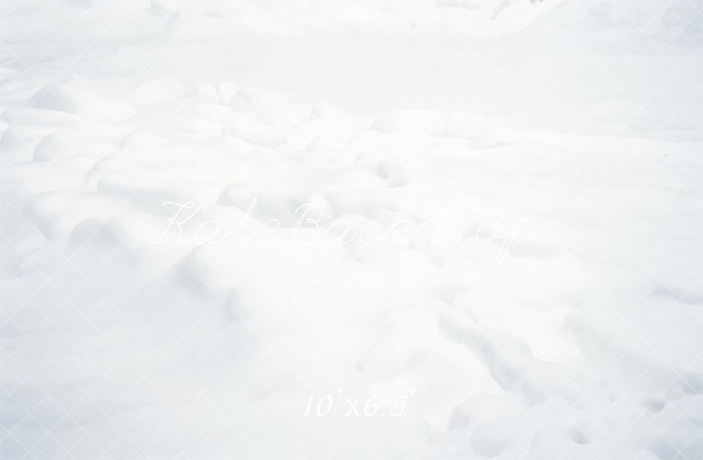 Kate Neige Hiver Blanc Sol Toile de fond conçue par Emetselch - Kate Backdrop FR