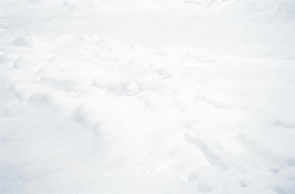 Kate Neige Hiver Blanc Sol Toile de fond conçue par Emetselch - Kate Backdrop FR