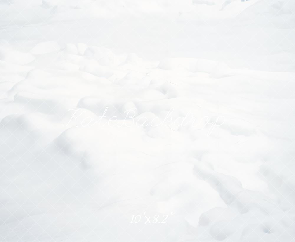 Kate Neige Hiver Blanc Sol Toile de fond conçue par Emetselch - Kate Backdrop FR