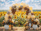 Kate Automne Ballon Arche Tournesols Toile de fond conçue par Mini MakeBelieve - Kate Backdrop FR