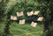 Kate Printemps Livre Arche Forêt Vert Toile de fond conçue par Emetselch - Kate Backdrop FR
