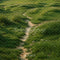Kate Printemps Herbe Allée Sol Toile de fond conçue par Emetselch - Kate Backdrop FR