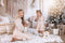 Kate Sapin de Noël Bohème Fenêtre Salon Toile de fond conçue par Emetselch - Kate Backdrop FR