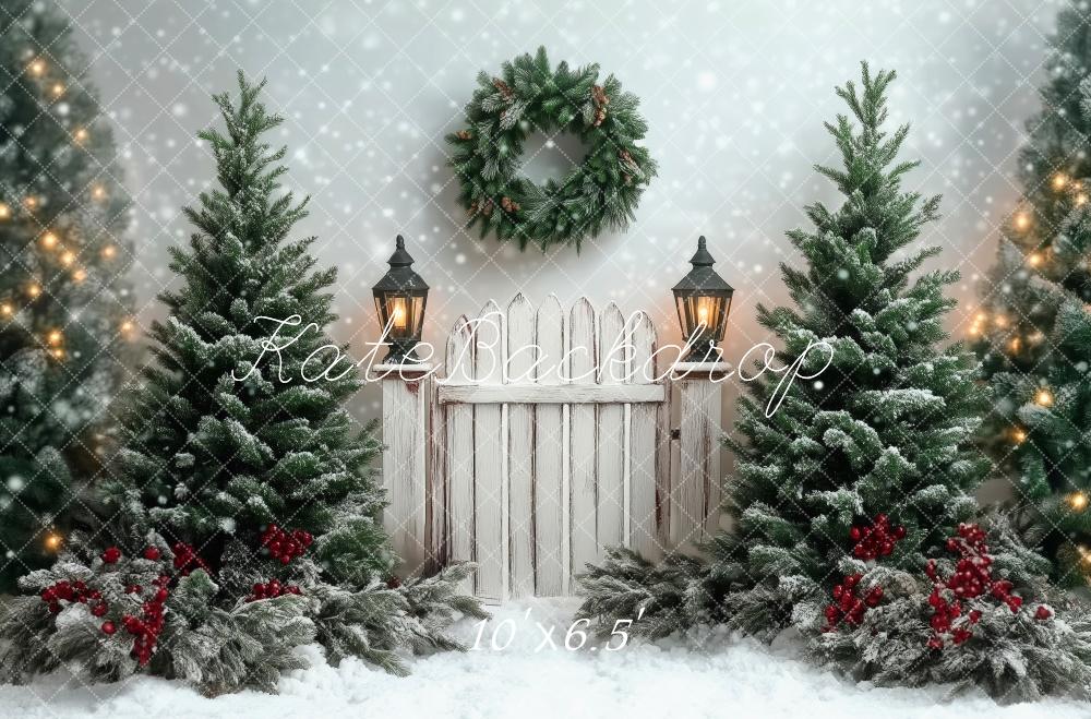 Kate Noël Scène d'hiver Neige Portail Toile de fond conçue par Patty Robert - Kate Backdrop FR