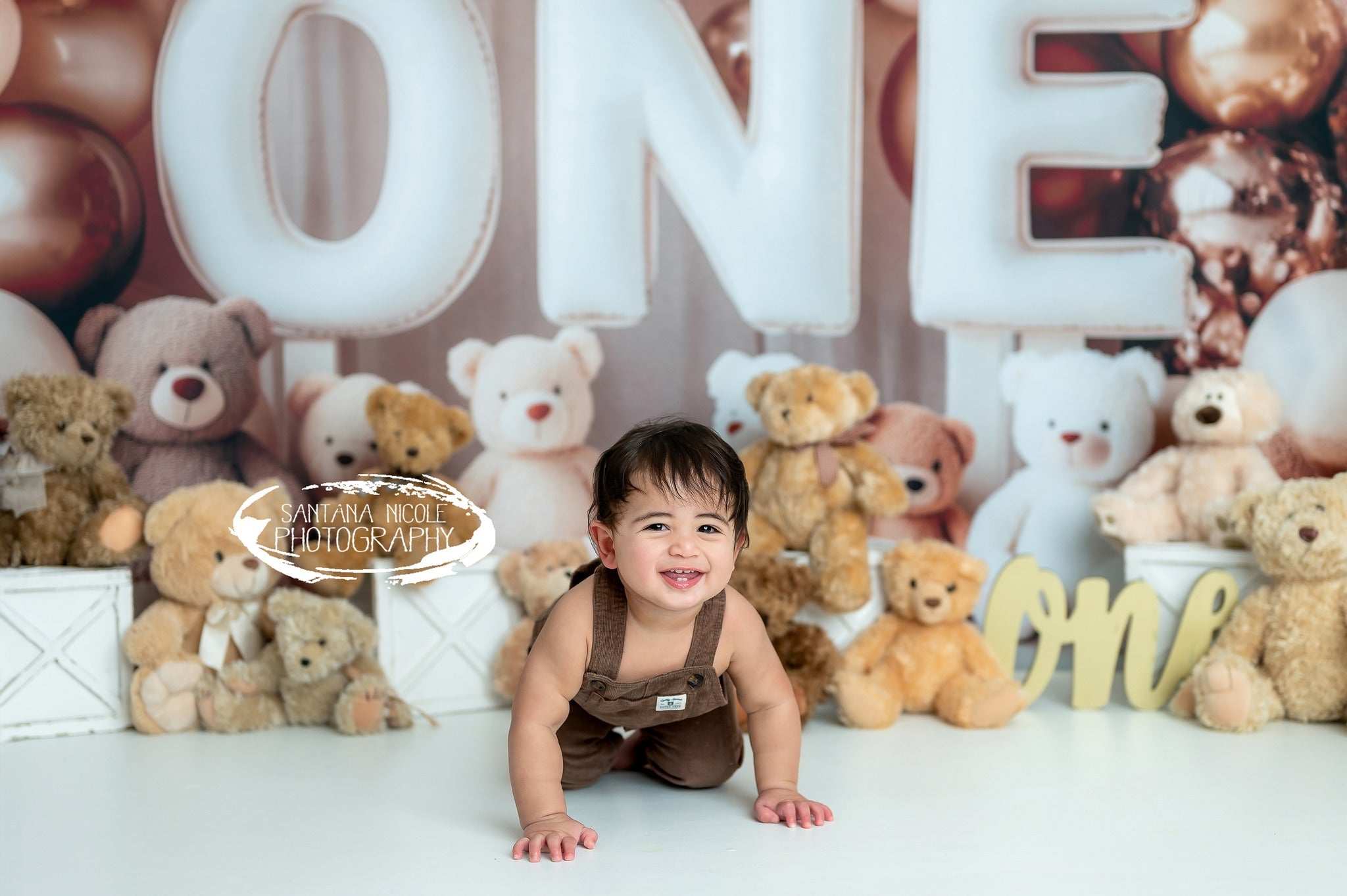 Kate Cake smash Ours Ballons Bébé Anniversaire Toile de fond conçue par Patty Roberts - Kate Backdrop FR