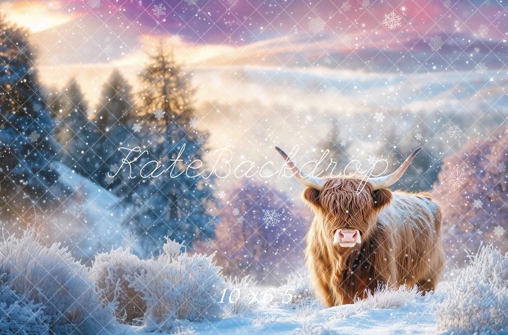 Kate Hiver Bovins Highland Neige Toile de fond conçue par Patty Roberts - Kate Backdrop FR