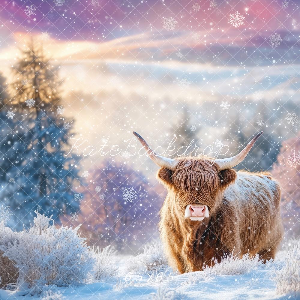 Kate Hiver Bovins Highland Neige Toile de fond conçue par Patty Roberts - Kate Backdrop FR