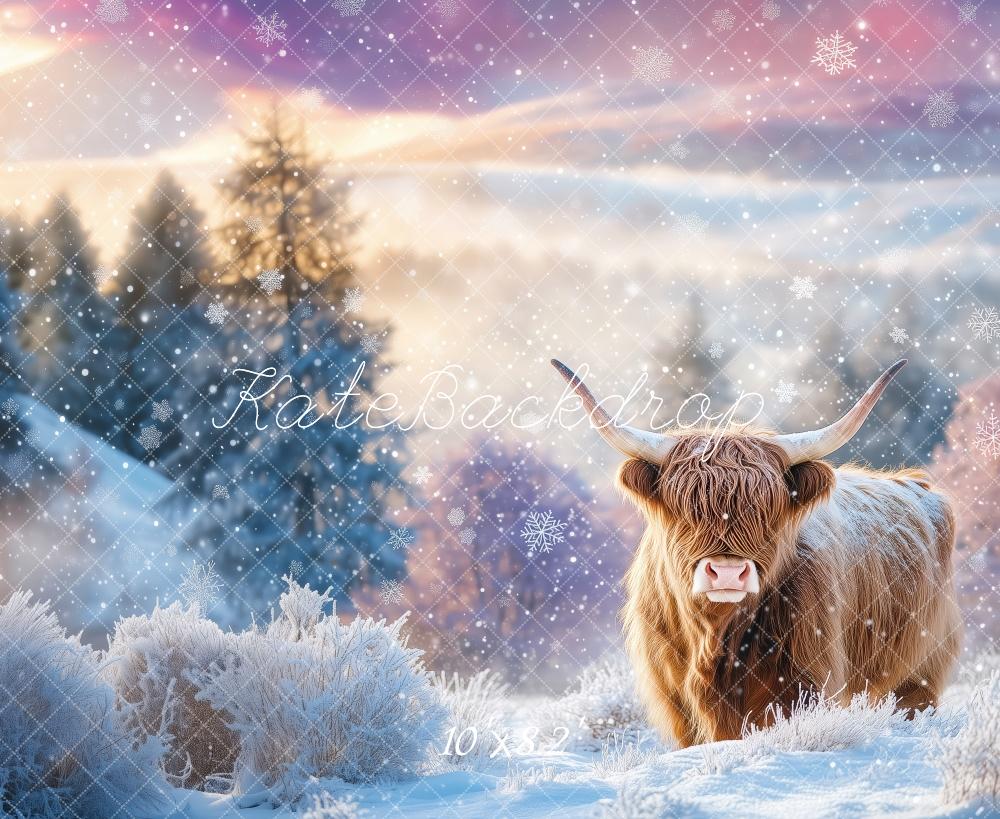 Kate Hiver Bovins Highland Neige Toile de fond conçue par Patty Roberts - Kate Backdrop FR