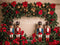 PROMO Kate Fête Noël Arche Casse-Noisette Fleurs Toile de fond conçue par Patty Robert - Kate Backdrop FR