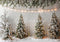 PROMO Kate Hiver Lumières Neige Sapins de Noël Toile de fond conçue par Patty Robert - Kate Backdrop FR