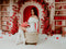 Kate Saint Valentin Arche de Roses Bibliothèque Toile de fond conçue par Emetselch - Kate Backdrop FR