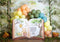 PROMO Kate Livre d'histoire Ballons Forêt Anniversaire Toile de fond conçue par Megan Leigh - Kate Backdrop FR