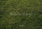 Kate Vert Herbe Pelouse Sol Toile de fond conçue par Emetselch - Kate Backdrop FR