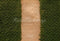 Kate Jardin Chemin Verdure Sol Toile de fond conçue par Kate Image - Kate Backdrop FR