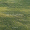 Kate Vert Herbe Lumière du soleil Sol Toile de fond conçue par Emetselch - Kate Backdrop FR