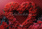 Kate Saint Valentin Cœur Roses Fleur Rouge Toile de fond conçue par Mini MakeBelieve - Kate Backdrop FR
