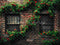Kate Printemps Mur Vintage Verdure Rose Toile de fond conçue par Mini MakeBelieve - Kate Backdrop FR