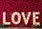 Kate Saint Valentin LOVE Lumières Mur Rouge Toile de fond conçue par Patty Robert - Kate Backdrop FR