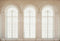 Kate Rétro Blanc Fenêtres Arche Rétro Toile de fond conçue par Emetselch - Kate Backdrop FR
