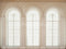 Kate Rétro Blanc Fenêtres Arche Rétro Toile de fond conçue par Emetselch - Kate Backdrop FR