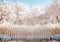 Kate Printemps Fleurs Blanc Clôture Jardin Toile de fond conçue par Mini MakeBelieve - Kate Backdrop FR