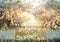 Kate Printemps Fleurs Soleil Jardin Bokeh Toile de fond conçue par Mini MakeBelieve - Kate Backdrop FR