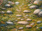Kate Printemps Chemin de Pierre Fleurs Sol Toile de fond conçue par Kate Image - Kate Backdrop FR