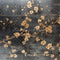 Kate Vintage Fleurs Sombre Mur Sol Toile de fond conçue par Mini MakeBelieve - Kate Backdrop FR