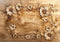 Kate Sculpture de Fleurs Bébé Sol Toile de fond conçue par Mini MakeBelieve - Kate Backdrop FR