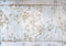 Kate Fleurs Bois Blanc Élégant Sol Toile de fond conçue par Mini MakeBelieve - Kate Backdrop FR