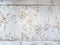 Kate Fleurs Bois Blanc Élégant Sol Toile de fond conçue par Mini MakeBelieve - Kate Backdrop FR