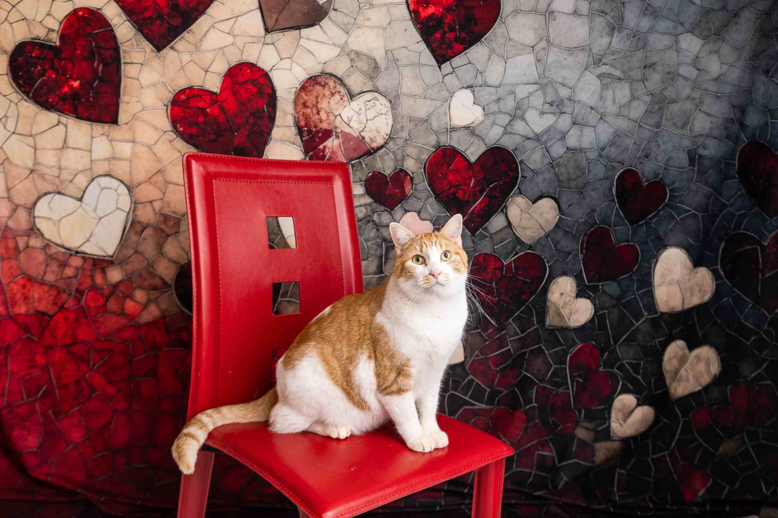 Kate Saint Valentin Cœur Mur de Pierre Dégradé Toile de fond conçue par Patty Roberts - Kate Backdrop FR