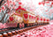 Kate Saint Valentin Train de Biscuits Fleurs Toile de fond conçue par Mini MakeBelieve - Kate Backdrop FR