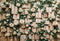 Kate Saint-Valentin Vintage Livres Roses Toile de fond conçue par Emetselch - Kate Backdrop FR