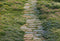 Kate Printemps Jardin Allée Sol Toile de fond conçue par Emetselch - Kate Backdrop FR