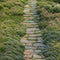 Kate Printemps Jardin Allée Sol Toile de fond conçue par Emetselch - Kate Backdrop FR
